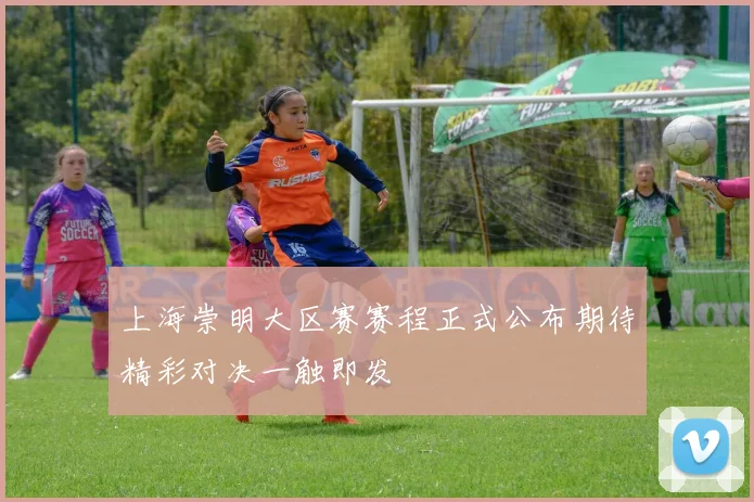 上海崇明大区赛赛程正式公布期待精彩对决一触即发